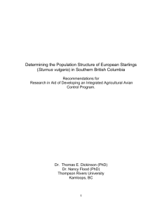 Determining the Population Structure of European Starlings (Sturnus