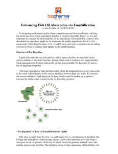 Enhancing Fish Oil Absorption via Emulsification
