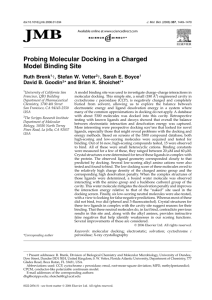 Probing Molecular Docking in a Charged Model