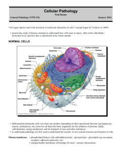 Cell Pathology Handout