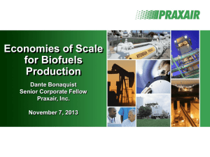 Economies of Scale for Biofuels Production