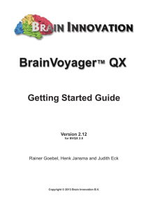Getting Started Guide Version 2.12 for BVQX 2.8