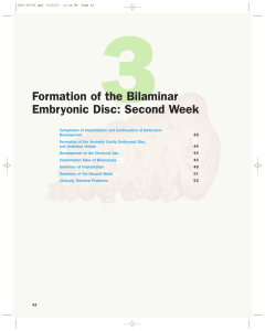 Formation of the Bilaminar Embryonic Disc