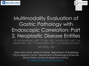 Multimodality Evaluation of Gastric Pathology with Endoscopic