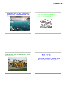 Ecosystems and Food Web Notes