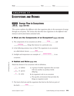 studylib.net - Essys, homework help, flashcards, research papers, book