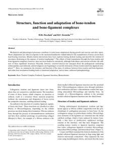 Structure, function and adaptation of bone