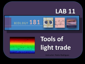 Tools of light trade LAB 11