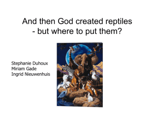 And then God created reptiles