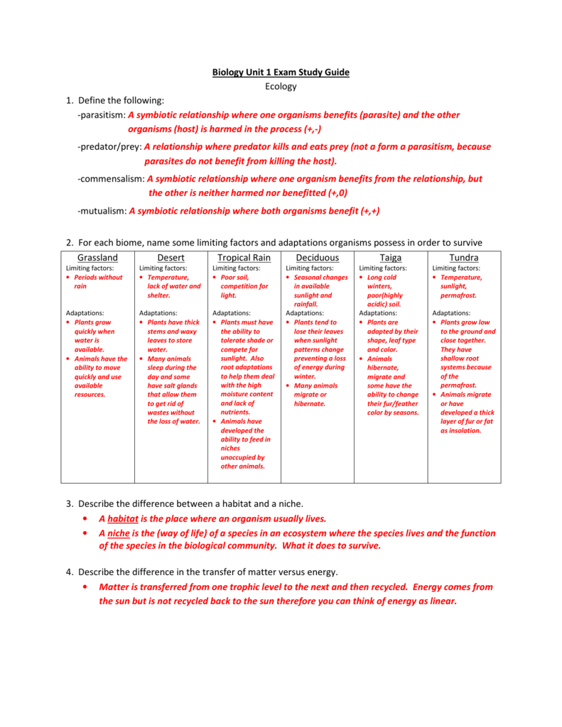 worksheet. Symbiotic Relationship Worksheet. Grass Fedjp Worksheet