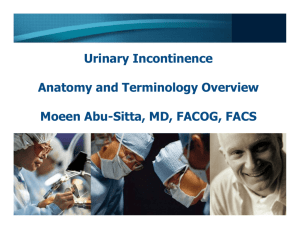 Urinary Incontinence Anatomy and Terminology Overview Moeen