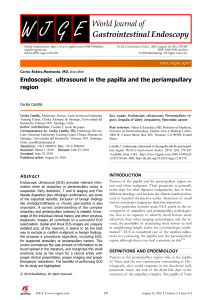 Endoscopic ultrasound in the papilla and the periampullary region