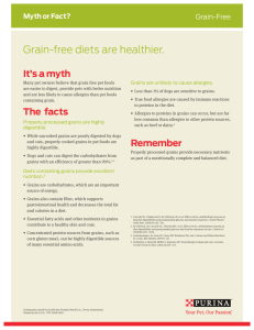 Grain-free diets are healthier.