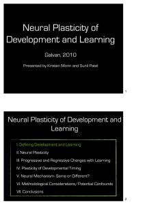 Neural Plasticity of Development and Learning
