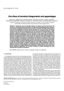Evo-Devo of amniote integuments and appendages
