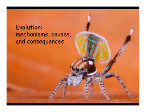 Evolution: mechanisms, causes, and consequences