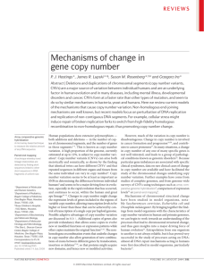 Mechanisms of change in gene copy number