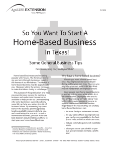 So You Want To Start A Home-Based Business In Texas!
