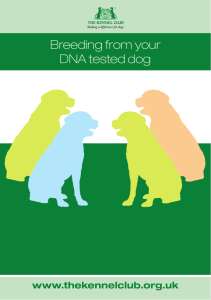 Breeding from your DNA tested dog