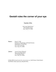 Gestalt rules the corner of your eye - NYU Psychology