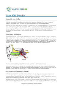 Vasculitis and the Ear