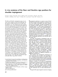 In vivo anatomy of the Neer and Hawkins sign positions for shoulder