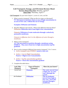 Cell Transport review sheet answers