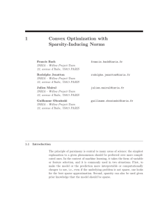1 Convex Optimization with Sparsity