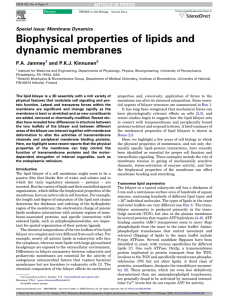 Biophysical properties of lipids and dynamic membranes