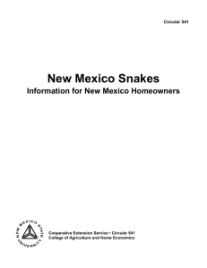 New Mexico Snakes Information for New Mexico Homeowners