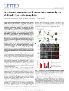 In vitro centromere and kinetochore assembly on defined chromatin