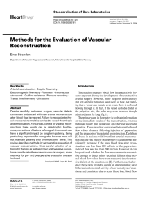 Methods for the Evaluation of Vascular Reconstruction