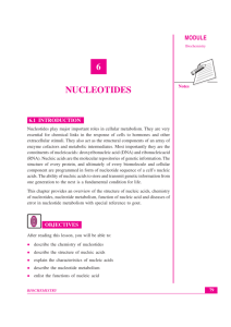 6 NUCLEOTIDES