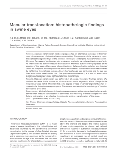 Macular translocation: histopathologic findings in swine eyes