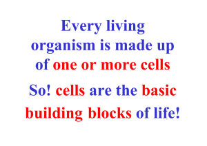 Every living organism is made up of one or more cells