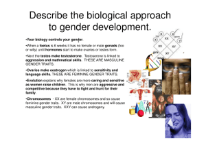 Describe the biological approach to gender
