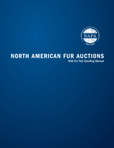 north american fur auctions