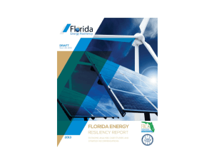 Florida Energy Resiliency Strategy