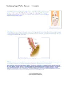 Gastroesophageal Reflux Disease: Introduction