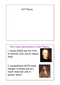 Cell Theory The 5 main Contributors to Cell Theory: 1. Hooke (1665