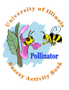 Pollination Activity Book