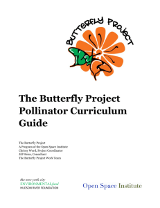 The Butterfly Project Pollinator Curriculum Guide