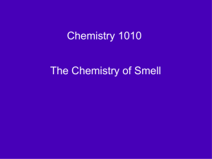 Chemistry 1010 The Chemistry of Smell