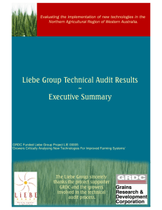 Final audit - executive summary