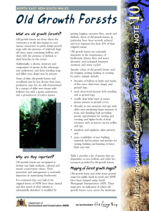 Old growth forests - natural resource management information note