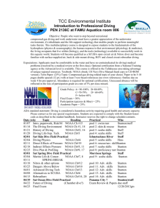 Introduction to Professional Diving poster TCC