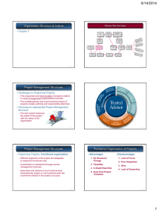 Organization Structure & Culture Project Management Structures