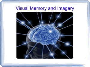 Visual Memory and Imagery
