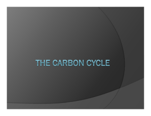 The Carbon Cycle powerpoint