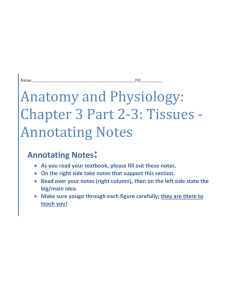 Annotating Notes - Anatomy and Physiology